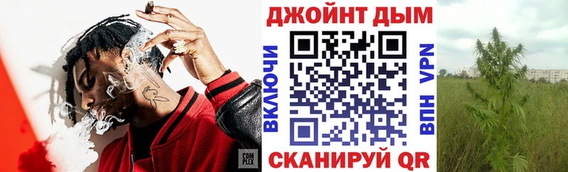 Названия наркотиков Александров Alpha PVP  Галлюциногенные грибы  ГАШ  Меф  Каннабис  Кокаин 