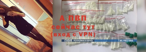 стаф Абинск