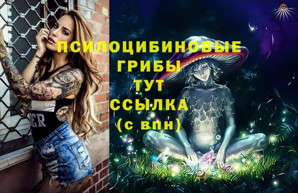 винт Абаза