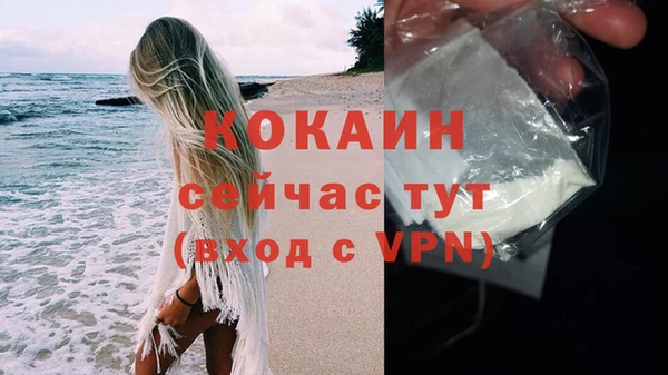 стаф Абинск
