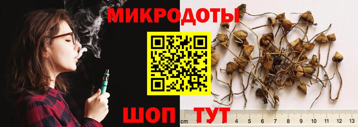 как найти закладки  Вход с VPN  Александров  Псилоцибиновые грибы мицелий 