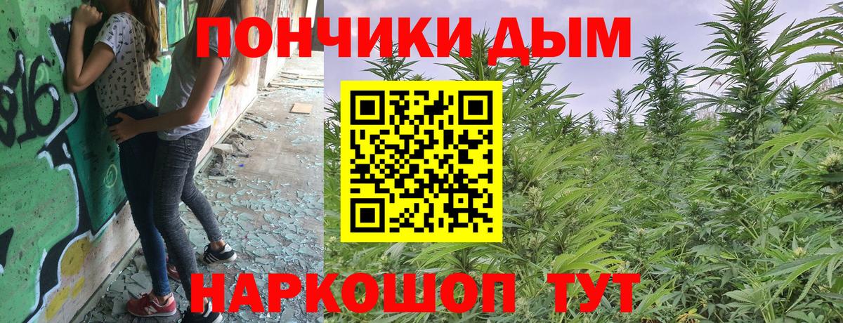 Марихуана сатива  Вход с VPN  Александров  Бошки марихуана LSD WEED  МАРИХУАНА SATIVA & INDICA 